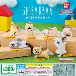 กาชาปอง Shibanban Mejirushi Accessory