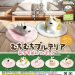 กาชาปอง Bull Terrier at Home Figure Collection