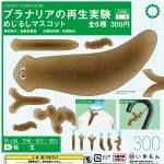 กาชาปอง Planaria Regeneration Science Techni Color