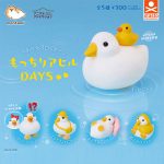 กาชาปอง Mocchiri Ahiru Duck Days Animal Attraction