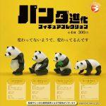 กาชาปอง Panda Evolution Figure Collection