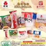 กาชาปอง Kibun Nerimono Squeeze Charm Miniature