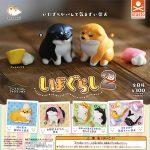 กาชาปอง Shiba Gurashi Shiba Figure v.2 Collection