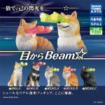 กาชาปอง Animals Eye Beam Figure Collection