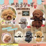 กาชาปอง Toy Poodle Hanging Swing v.3 Collection