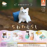 กาชาปอง Chiwawa-Gurashi Animal Attraction