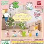 กาชาปอง Hibi Yuu Mejirushi Accessory Collection