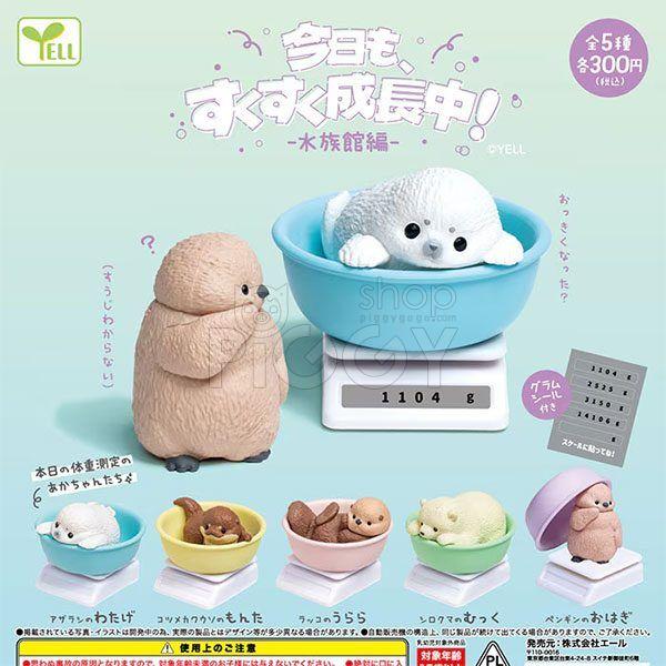 กาชาปอง Aquarium Animals Growing Collection กาชาปอง Aquarium Animals Growing Collection