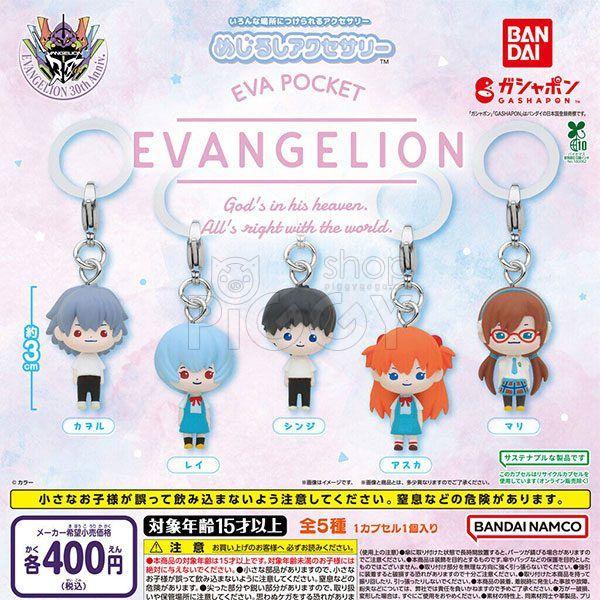 กาชาปอง EVA POCKET Mejirushi Accessory Collection กาชาปอง EVA POCKET Mejirushi Accessory Collection