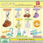 กาชาปอง Kapibarasan Mejirushi Accessory Collection