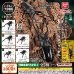 กาชาปอง Stag Beetles Kuwagata 11 Capsule Figure