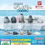 กาชาปอง Azarashi-tai Seal Squad Mite Mite! Figure