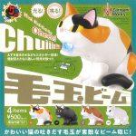 กาชาปอง Neko Cat Kedama Beam Figure Collection