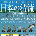 กาชาปอง Clear Stream Fish in Japan Special Edition