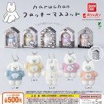 กาชาปอง haruchan Flocky Mascot Collection
