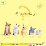 กาชาปอง Kyoton Confused Animals Figure Collection