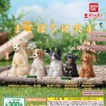 กาชาปอง Mateboke Dog v.4 Figure Collection