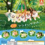 กาชาปอง Mocchiri Flying Dog Strap Animal Attraction