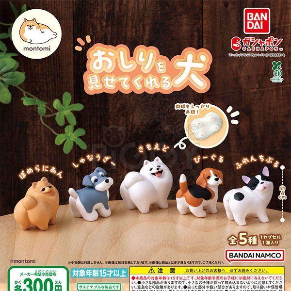 กาชาปอง Montomi Mochi Dogs Cute Butts Collection กาชาปอง Montomi Mochi Dogs Cute Butts Collection