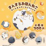 กาชาปอง Round Sleeping Cat Comb & Mirror