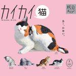 กาชาปอง KaiKai Neko Itchy Cat Figure Collection