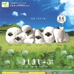 กาชาปอง Mashimasheep Fluffy Flocky Figure Collection
